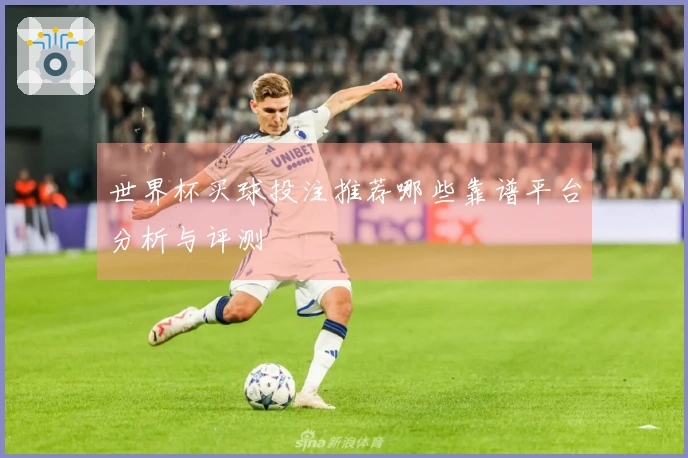 世界杯买球投注推荐哪些靠谱平台分析与评测