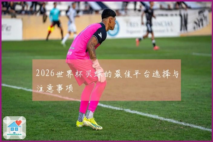 2026世界杯买球的最佳平台选择与注意事项