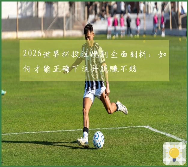 2026世界杯投注规则全面剖析，如何才能正确下注并稳赚不赔
