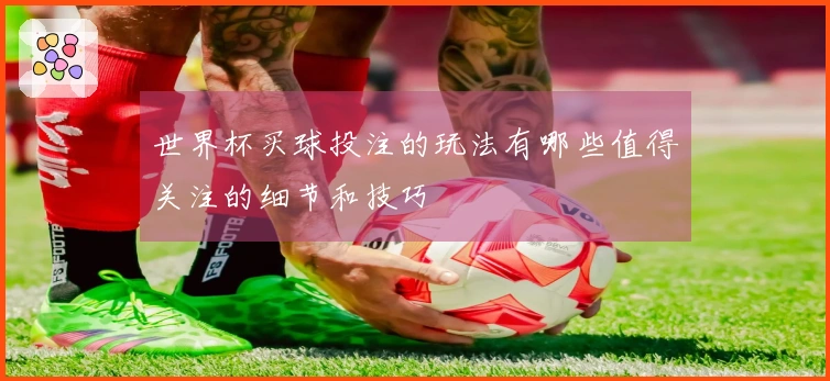 世界杯买球投注的玩法有哪些值得关注的细节和技巧