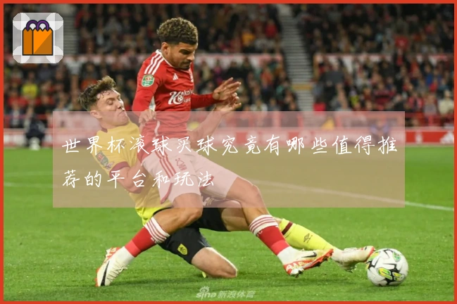 世界杯滚球买球究竟有哪些值得推荐的平台和玩法
